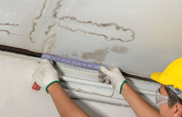 Reliable Water Damage Repair contractor in Niota, TN by Aqua Guard Water Damage